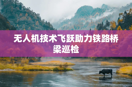 无人机技术飞跃助力铁路桥梁巡检
