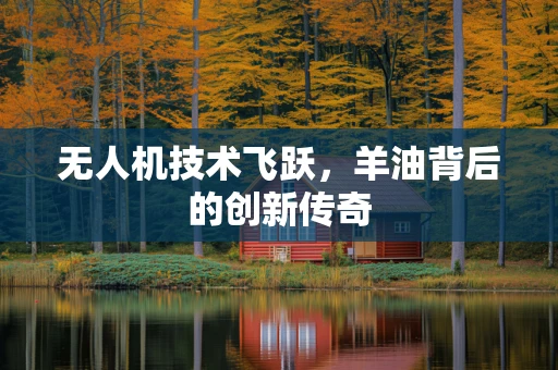 无人机技术飞跃，羊油背后的创新传奇