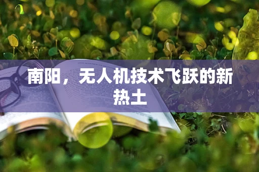 南阳，无人机技术飞跃的新热土