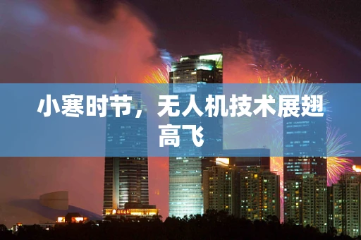 小寒时节，无人机技术展翅高飞