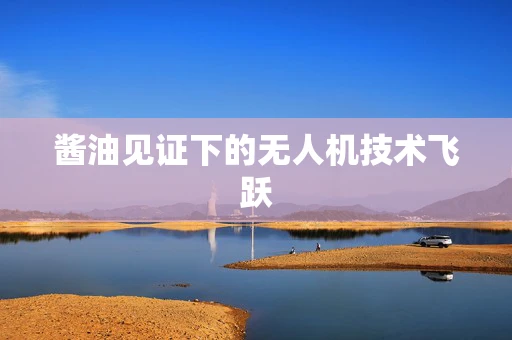 酱油见证下的无人机技术飞跃