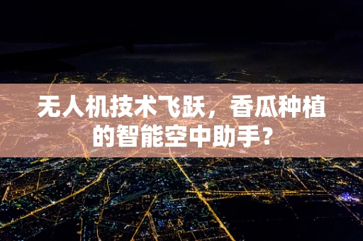 无人机技术飞跃，香瓜种植的智能空中助手？