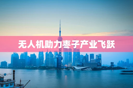 无人机助力枣子产业飞跃