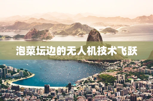泡菜坛边的无人机技术飞跃