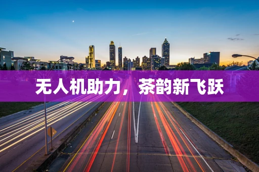 无人机助力，茶韵新飞跃