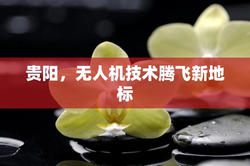 贵阳，无人机技术腾飞新地标