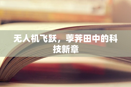无人机飞跃，荸荠田中的科技新章