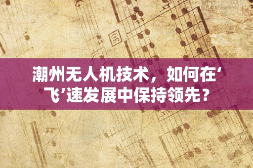 潮州无人机技术，如何在‘飞’速发展中保持领先？