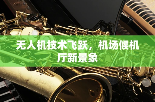 无人机技术飞跃，机场候机厅新景象