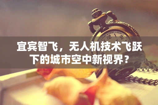 宜宾智飞，无人机技术飞跃下的城市空中新视界？