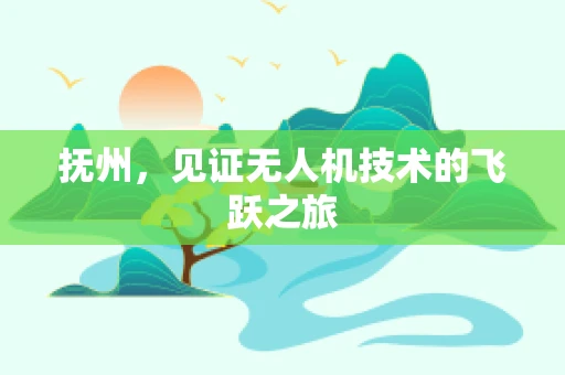 抚州，见证无人机技术的飞跃之旅