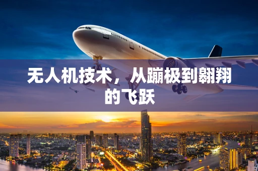 无人机技术，从蹦极到翱翔的飞跃