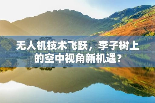 无人机技术飞跃，李子树上的空中视角新机遇？