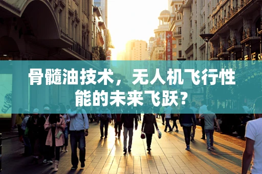 骨髓油技术，无人机飞行性能的未来飞跃？