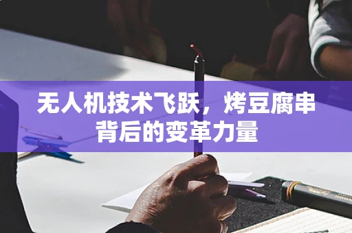 无人机技术飞跃，烤豆腐串背后的变革力量