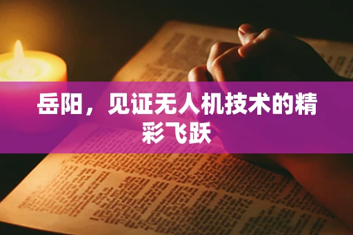 岳阳，见证无人机技术的精彩飞跃