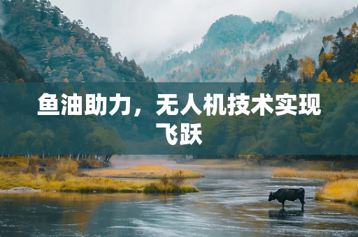 鱼油助力，无人机技术实现飞跃