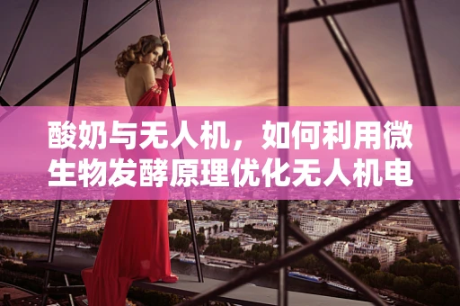 酸奶与无人机，如何利用微生物发酵原理优化无人机电池性能？