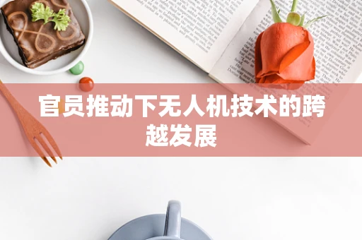 官员推动下无人机技术的跨越发展