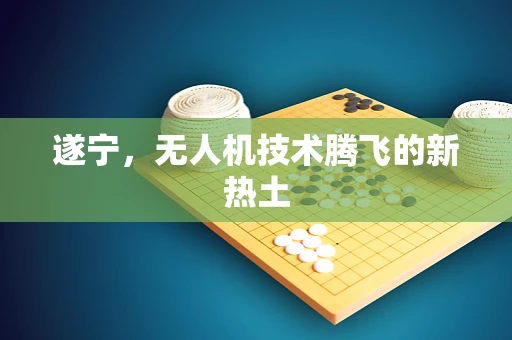 遂宁，无人机技术腾飞的新热土