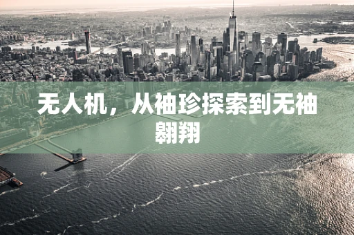 无人机，从袖珍探索到无袖翱翔