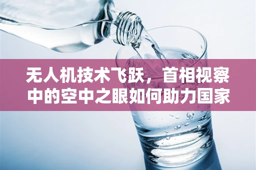 无人机技术飞跃，首相视察中的空中之眼如何助力国家安全？