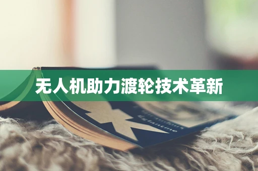 无人机助力渡轮技术革新