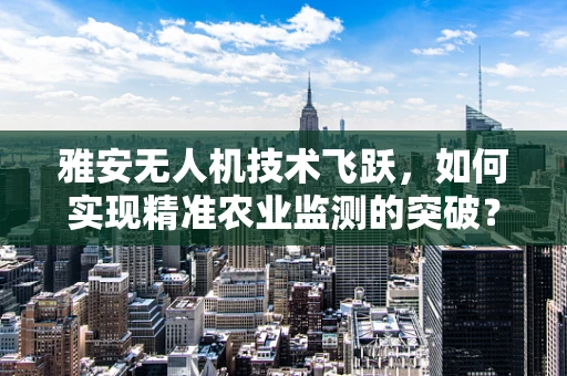 雅安无人机技术飞跃，如何实现精准农业监测的突破？