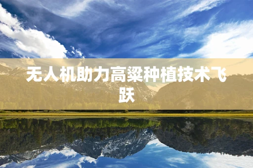 无人机助力高粱种植技术飞跃