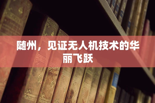 随州，见证无人机技术的华丽飞跃
