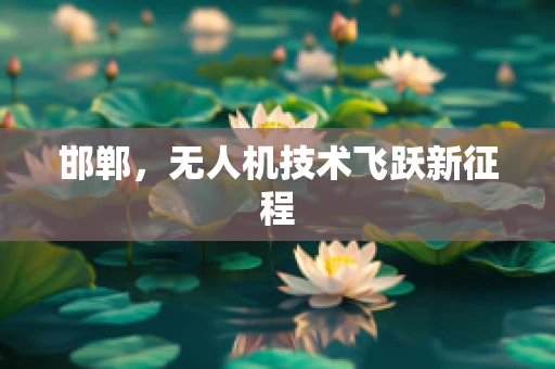 邯郸，无人机技术飞跃新征程