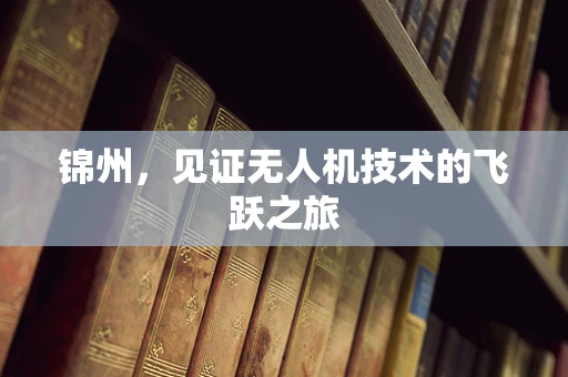 锦州，见证无人机技术的飞跃之旅