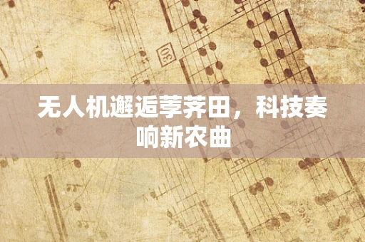 无人机邂逅荸荠田，科技奏响新农曲