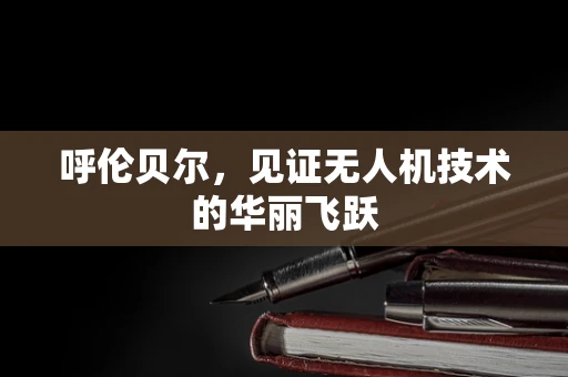 呼伦贝尔，见证无人机技术的华丽飞跃