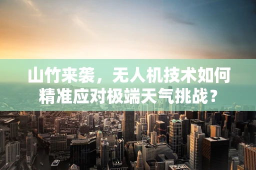 山竹来袭，无人机技术如何精准应对极端天气挑战？