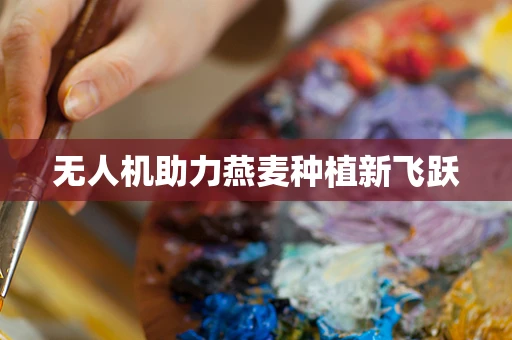 无人机助力燕麦种植新飞跃