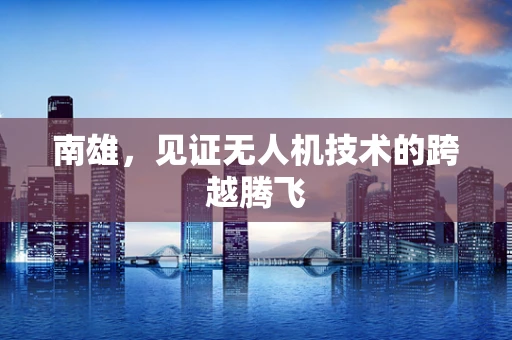 南雄，见证无人机技术的跨越腾飞
