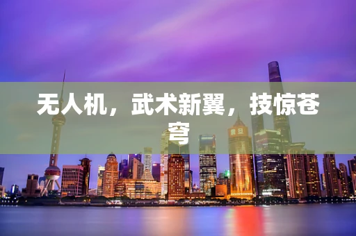 无人机，武术新翼，技惊苍穹