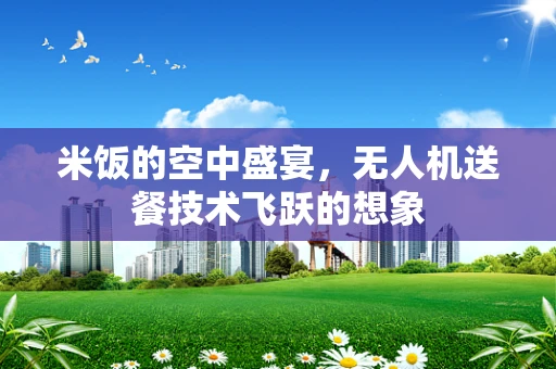 米饭的空中盛宴，无人机送餐技术飞跃的想象