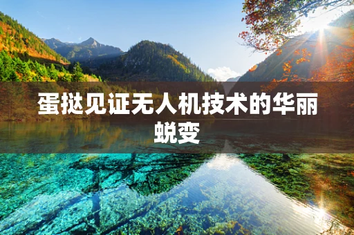 蛋挞见证无人机技术的华丽蜕变