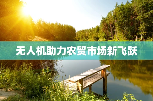 无人机助力农贸市场新飞跃