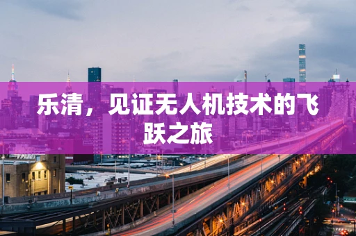 乐清，见证无人机技术的飞跃之旅