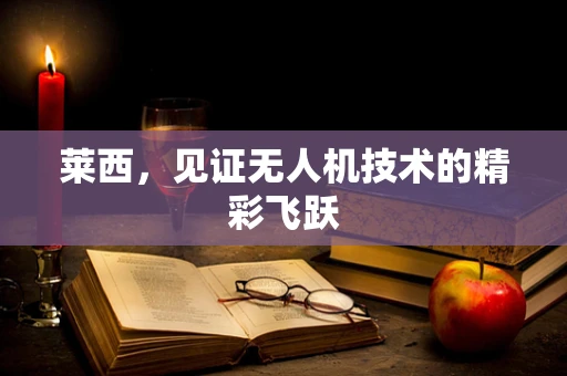 莱西，见证无人机技术的精彩飞跃