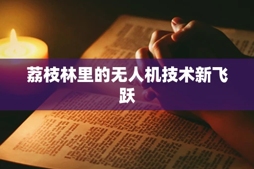 荔枝林里的无人机技术新飞跃