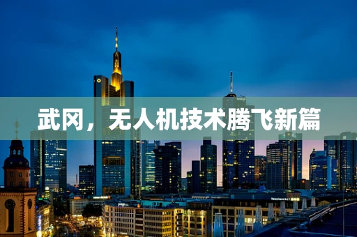 武冈，无人机技术腾飞新篇