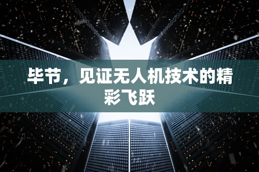 毕节，见证无人机技术的精彩飞跃