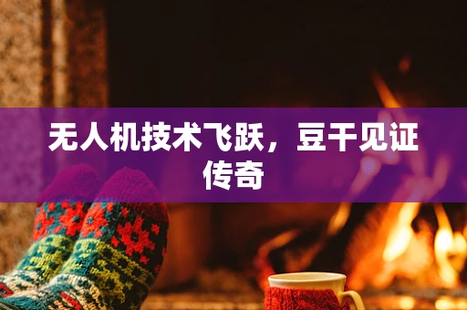 无人机技术飞跃，豆干见证传奇