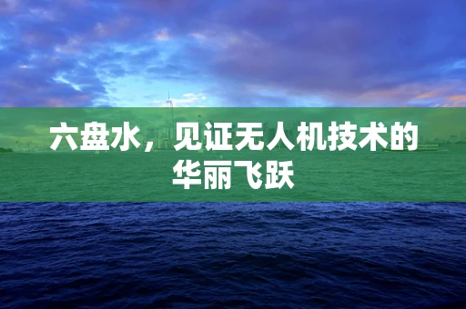 六盘水，见证无人机技术的华丽飞跃