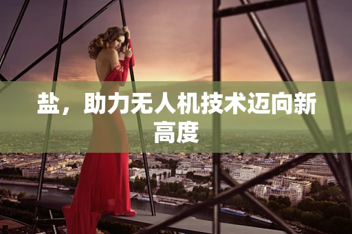 盐，助力无人机技术迈向新高度