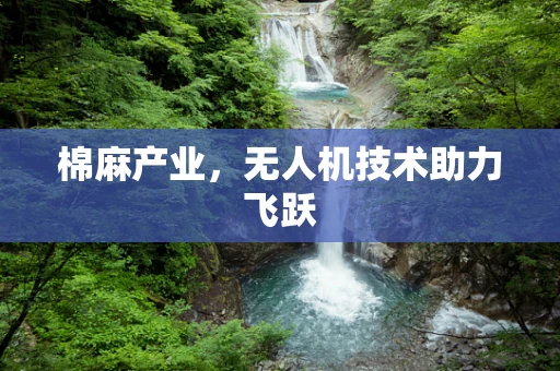 棉麻产业，无人机技术助力飞跃